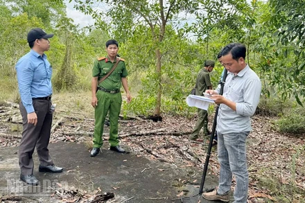 Lực lượng chức năng đặc khu Phú Quốc kiểm tra hiện trạng đất rừng phòng hộ bị bao chiếm.