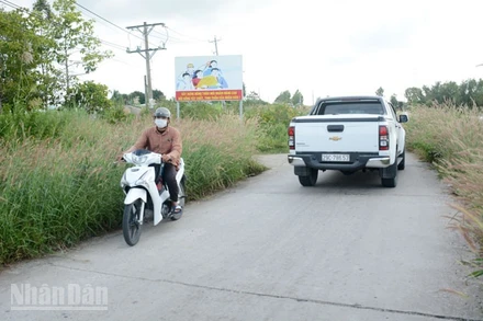 Lộ giao thông trên địa bàn xã Hòa Điền.