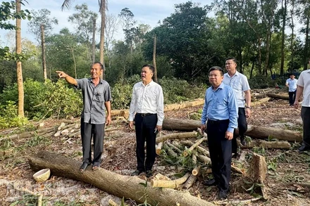 Bí thư Đảng ủy đặc khu Phú Quốc Lê Quốc Anh (thứ hai, từ trái qua) vận động nhân dân bàn giao đất để triển khai các công trình phục vụ APEC 2027. 