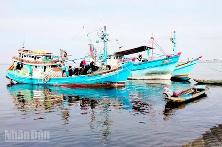 Tàu đánh bắt thủy sản neo đậu ở phường Rạch Giá, tỉnh An Giang.