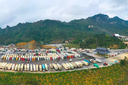 Khu vực kho bến bãi của Công ty Cổ phần Hữu nghị Xuân Cương.