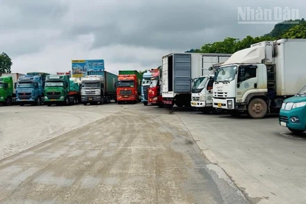 Các phương tiện tại khu vực bãi Xuân Cương, Cửa khẩu Quốc tế Hữu Nghị, tỉnh Lạng Sơn. 