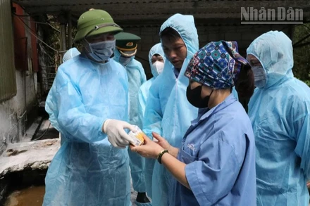 Thứ trưởng Nông nghiệp và Môi trường kiểm tra và phát vaccine chống dịch tả lợn châu Phi cho chủ cơ sở chăn nuôi tại xã Mẫu Sơn, tỉnh Lạng Sơn.