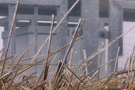 Hiện tượng băng giá đã xuất hiện tại đỉnh Mẫu Sơn.