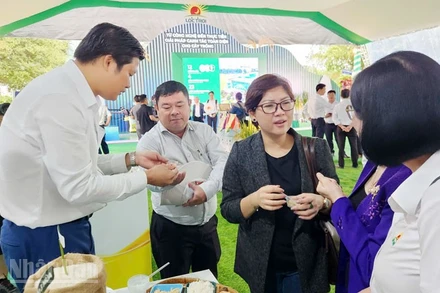 Đại biểu thưởng thức cơm chế biến từ gạo chất lượng cao.