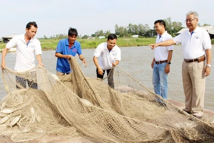 Nuôi thủy sản ở An Giang.