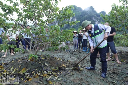 Chuyên gia của Trung tâm Khuyến nông quốc gia hướng dẫn nhân dân Lạng Sơn khôi phục sản xuất nông nghiệp.