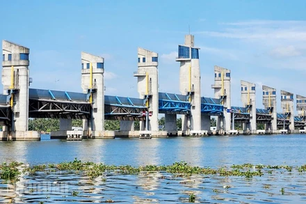 Cống Cái Lớn chủ động vận hành phục vụ sản xuất và sinh hoạt của người dân.