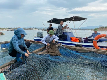 Cần kiểm soát chặt sản phẩm xử lý môi trường trong nuôi trồng thủy sản. (Ảnh: LÊ QUÂN)