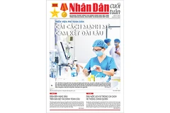 Cải cách mạnh mẽ, cam kết dài lâu