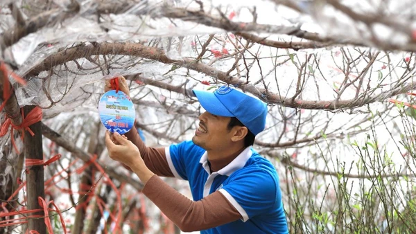 Mỗi gốc đào, quất xuân đều được gắn tên cá nhân, đơn vị tặng.