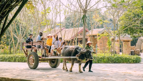 Du khách trải nghiệm "tour xe trâu" tại Hợp tác xã Sinh Dược.