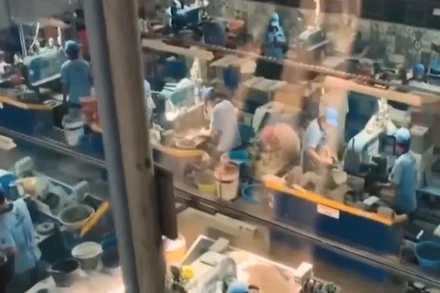 [Video] Doanh nghiệp, nhà khoa học còn thờ ơ với bảo hộ sở hữu trí tuệ