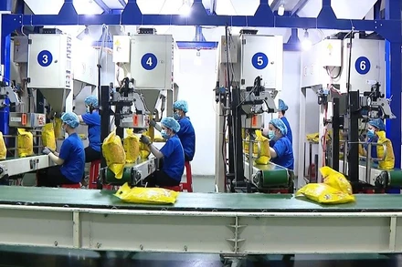 [Video] Giá gạo xuất khẩu Việt Nam giảm gần 19% trong 5 tháng đầu năm