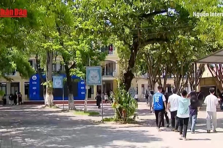 [Video] Chính thức công bố điểm chuẩn tuyển sinh đại học, cao đẳng năm 2025