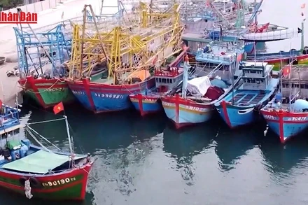 [Video] Gia Lai tăng cường phòng, chống khai thác IUU