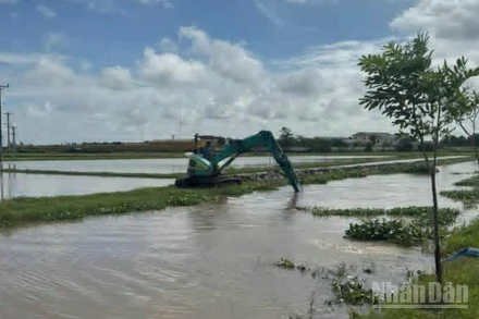 Hưng Yên đang tập trung khơi thông dòng chảy trên các tuyến kênh mương để tiêu thoát nước nhanh trong nội đồng.