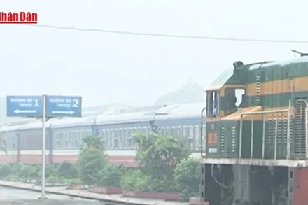 [Video] Ngành đường sắt tạm ngừng nhiều chuyến tàu do ảnh hưởng bão số 10