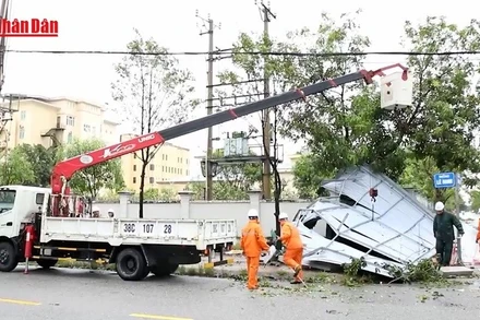 [Video] Bão số 10 làm gián đoạn cấp điện cho 3,4 triệu hộ dân