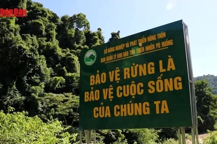 [Video] Nghệ An cảnh báo nguy cơ cháy rừng cấp độ cao