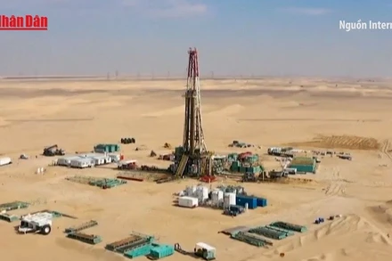 [Video] Sắc đỏ phủ thị trường năng lượng, cà phê thành điểm sáng