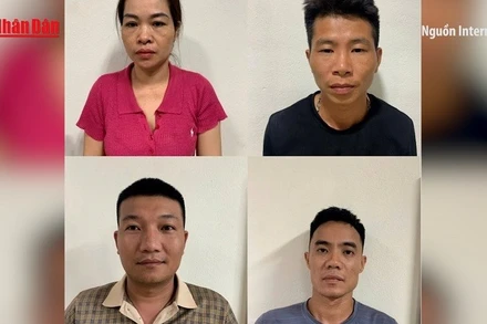 [Video] Triệt phá đường dây tuồn thịt nhiễm dịch tả lợn châu Phi tại Thanh Hóa