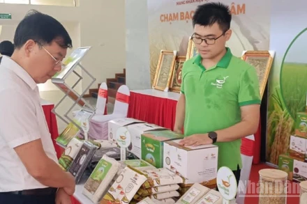 Các sản phẩm gạo chất lượng cao ở tỉnh Hưng Yên được lựa chọn hỗ trợ phát triển thương hiệu.