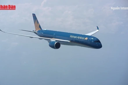 [Video] Máy bay Vietnam Airlines hạ cánh khẩn cấp tại Thổ Nhĩ Kỳ cấp cứu hành khách