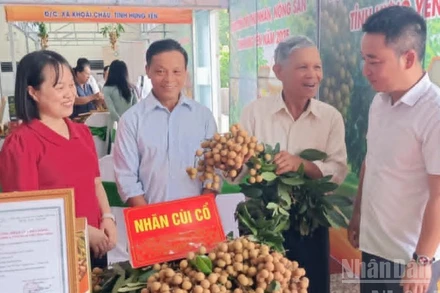 Vấn đề đầu ra cho sản phẩm nông sản luôn là bài toán cần tháo gỡ cho doanh nghiệp, nhà sản xuất và hộ nông dân ở Hưng Yên.