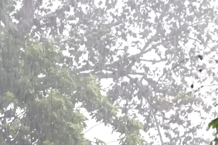 [Video] Mưa lớn cục bộ, cảnh báo lũ quét và gió giật mạnh nhiều nơi