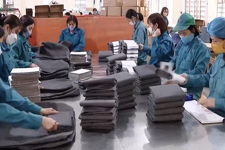 [Video] Hơn 1,3 triệu thanh niên không đi học, không đi làm