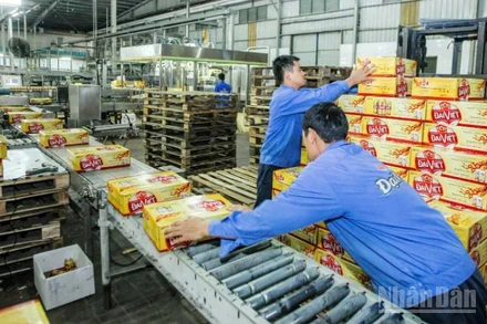 Năm 2025, Công ty cổ phần Tập đoàn Hương Sen đóng góp cho ngân sách nhà nước hơn 300 tỷ đồng.