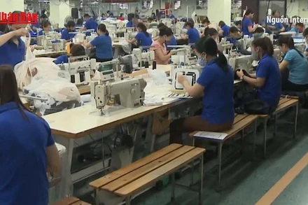 [Video] Dệt may Việt Nam tăng tốc, xuất khẩu 7 tháng đạt 26,33 tỷ usd