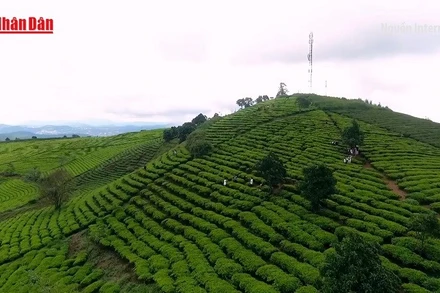 [Video] Đồng bộ giải pháp, tạo đột phá cho du lịch Việt Nam