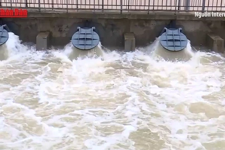 [Video] Huy động 26 trạm bơm tiêu úng khẩn cấp tại Bắc Bộ và Bắc Trung Bộ