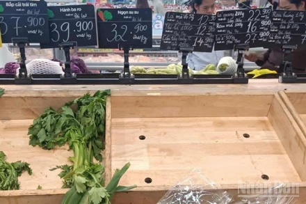 Kệ hàng bày bán các loại rau tại Trung tâm thương mại GO (phường Vũ Phúc, tỉnh Hưng Yên) luôn hết hàng từ rất sớm.