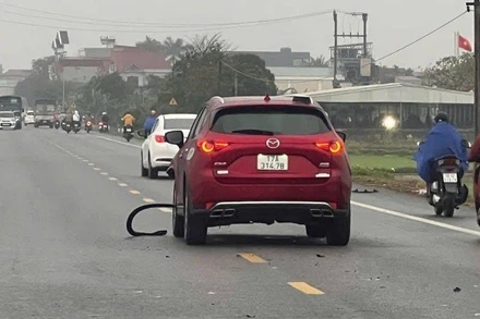 Hiện trường vụ việc. (Ảnh CTV)