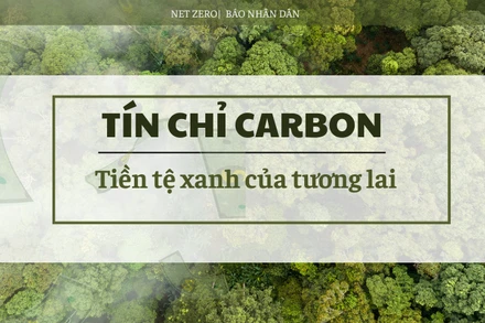 Tín chỉ carbon - tiền tệ xanh của tương lai