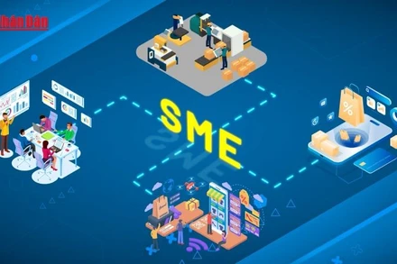 Thúc đẩy doanh nghiệp vừa và nhỏ gắn với phát triển nông nghiệp sạch: Động lực mới cho kinh tế Hà Nội