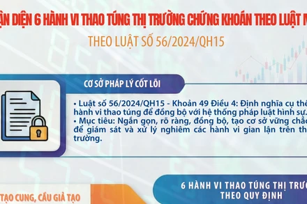 [Infographic] Hành vi thao túng thị trường chứng khoán theo luật mới (Luật số 56/2024/QH15)