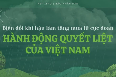 Biến đổi khí hậu làm tăng mưa lũ cực đoan và hành động quyết liệt của Việt Nam