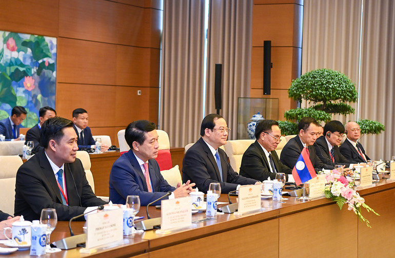 [Ảnh] Chủ tịch Quốc hội Vương Đình Huệ hội kiến Thủ tướng Lào Sonexay Siphandone ảnh 9