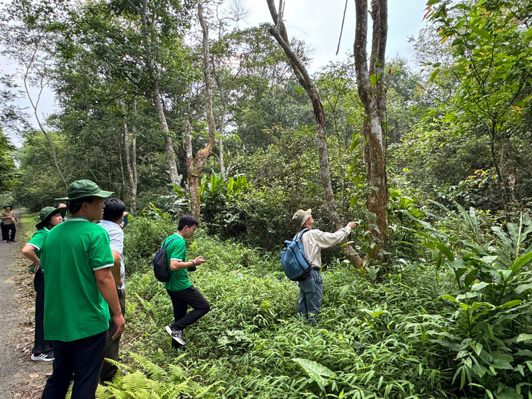 Các cán bộ Trung tâm Tài nguyên dược liệu tìm hiểu đa dạng sinh học của vườn cây thuốc. Các cán bộ Trung tâm Tài nguyên dược liệu tìm hiểu đa dạng sinh học của vườn cây thuốc.