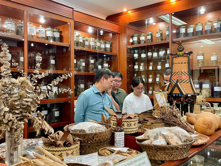 Học sinh được hướng dẫn tìm hiểu về các loài cây thuốc, dược liệu được sử dụng trong cộng đồng các dân tộc ở Việt Nam.