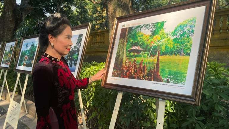 Nguyên Thứ trưởng Văn hóa, Thể thao và Du lịch Đặng Thị Bích Liên trong không gian Triển lãm.