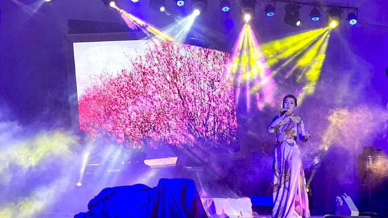 Chương trình đưa người xem đến với không khí nghệ thuật đa dạng qua một chuỗi các hoạt động trình diễn ca, múa, nhạc. (Ảnh: TRANG ANH)