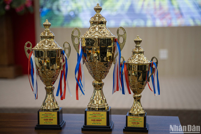 Những chiếc cúp vô địch của Giải đấu.