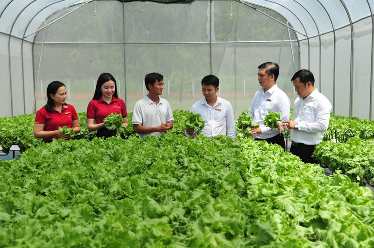 Bảo hiểm Agribank nhân rộng mô hình phân phối với hơn 3 triệu lượt hộ nông dân.