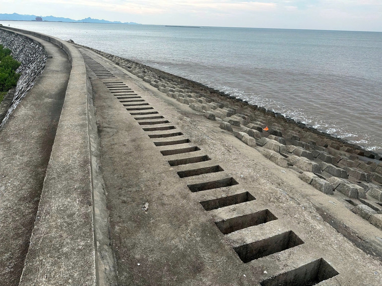 Một đoạn đê biển Cát Hải, thành phố Hải Phòng.