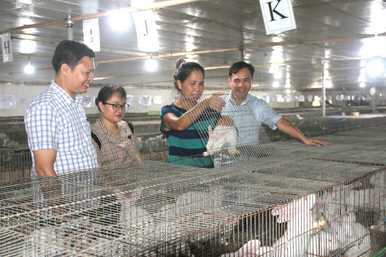 Mô hình nuôi thỏ Việt Nhật tại xã Lam Điền mang lại hiệu quả kinh tế cao cho người dân.